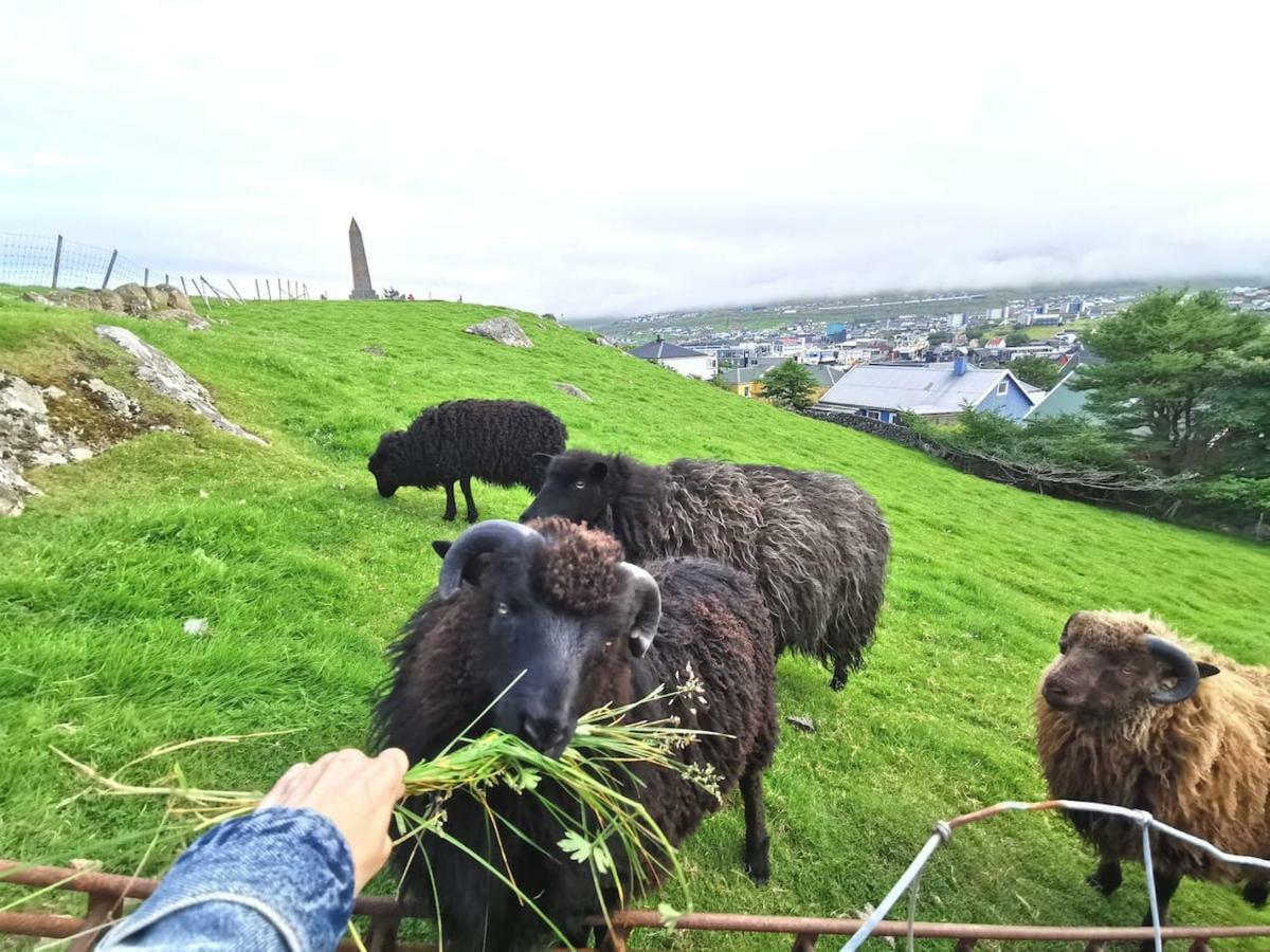 A Green Pearl In The Heart Of Torshavn Luaran gambar